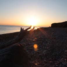Solnedgang