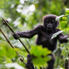 Uganda